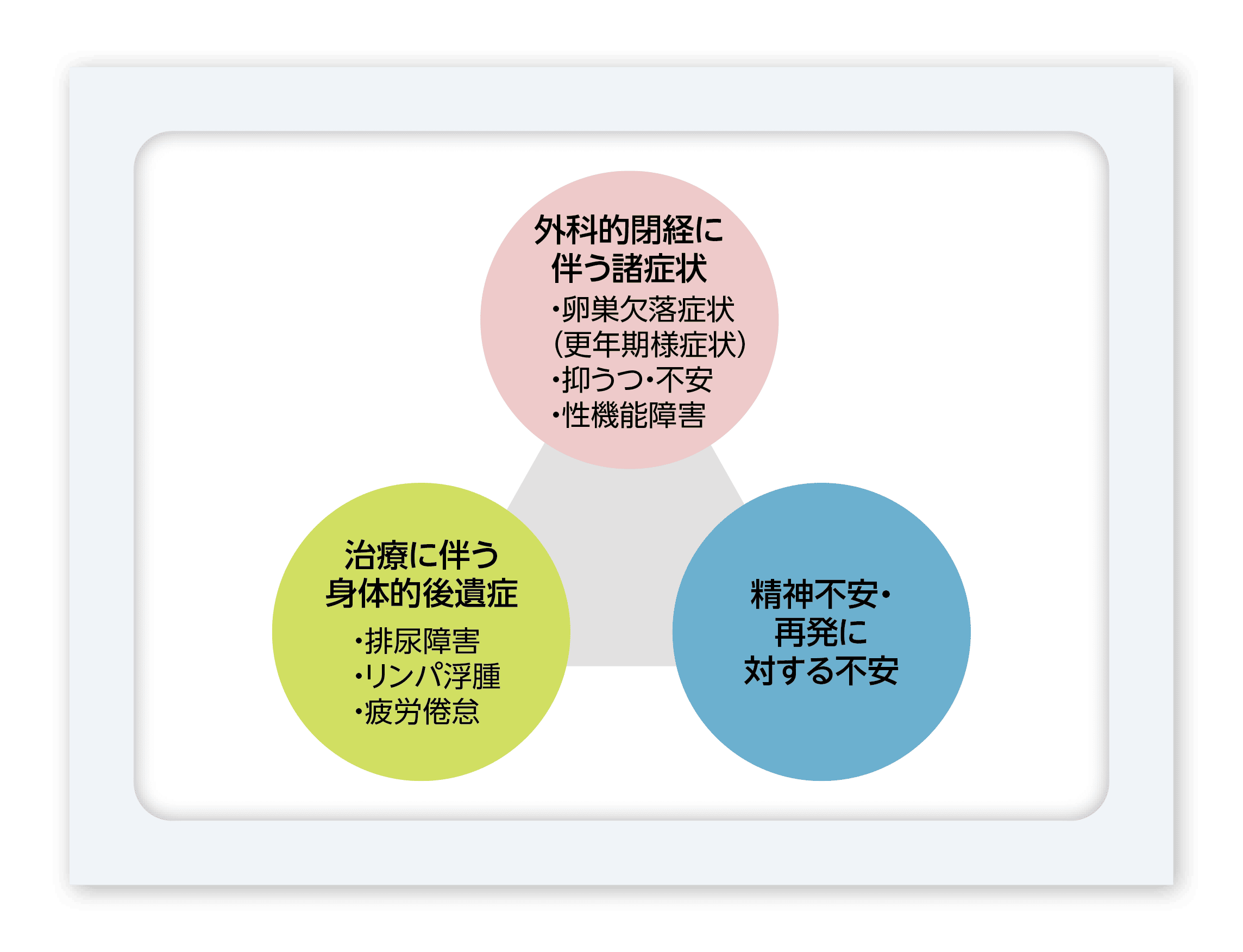 図3　主ながんサバイバーのヘルスケアの観点から問題となる点